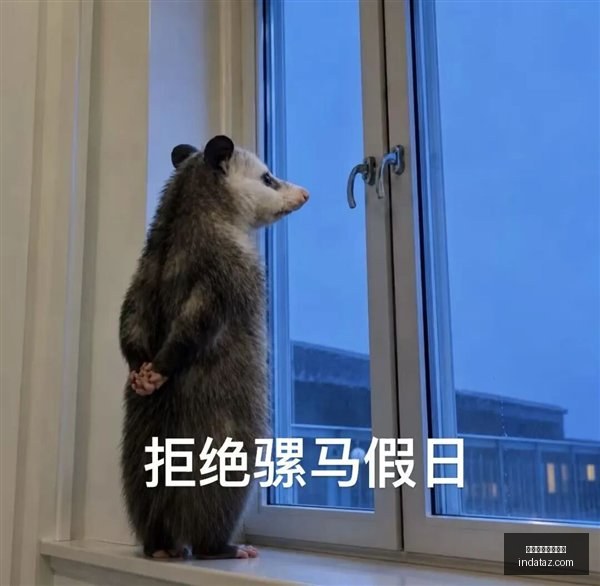 篮球巨星特,雷杨谈角色,调整,开云体育五大联赛,开云体育,五大联赛,足球竞猜,体育直播